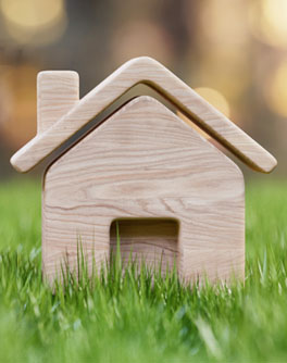 Estate Planning Insights 