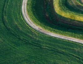 PD Learning Pathways