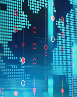 Information Technology Insights 2025